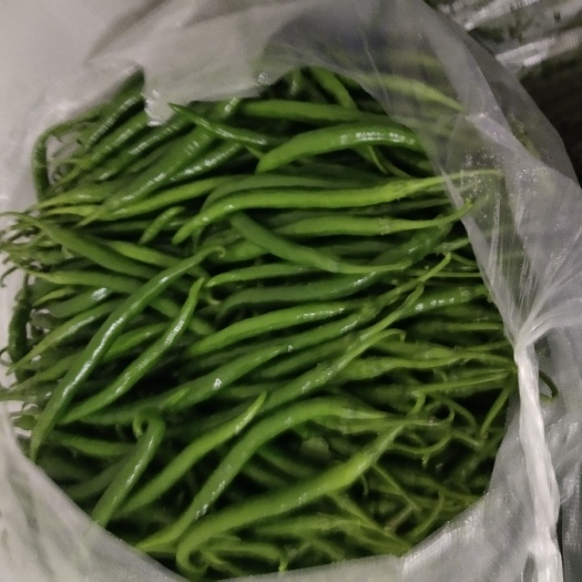 威宁县 线椒一手货源