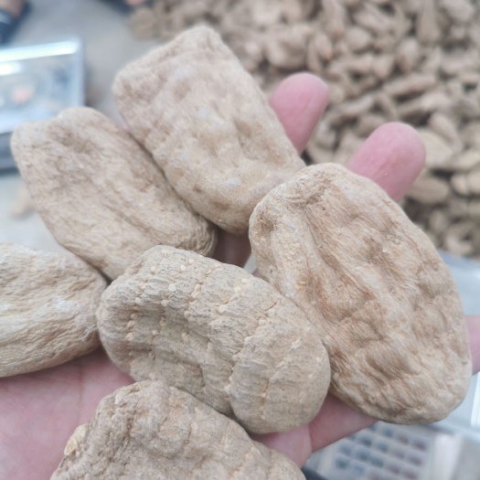 乌天麻  精品天麻，质量相当好好，货不多只有600公斤15-