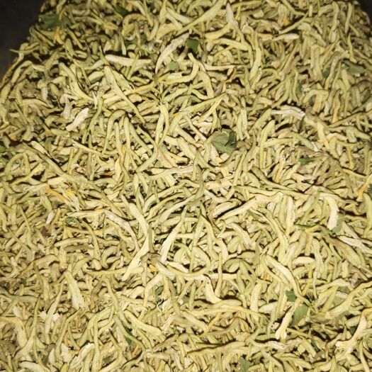 山阳县 金银花