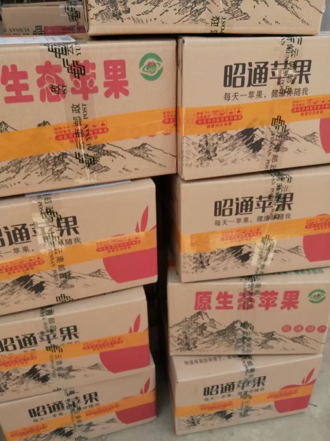 红富士苹果  云南昭通苹果