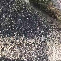 红皮洋葱  聊城二红半高桩洋葱种籽