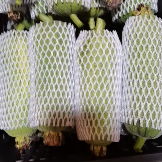 南平 精品丝瓜