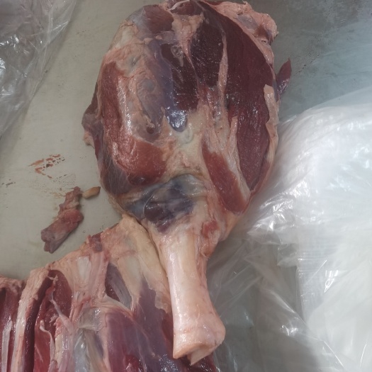 阳信县牛腱子肉  牛腱子。精修粗修精品牛腱