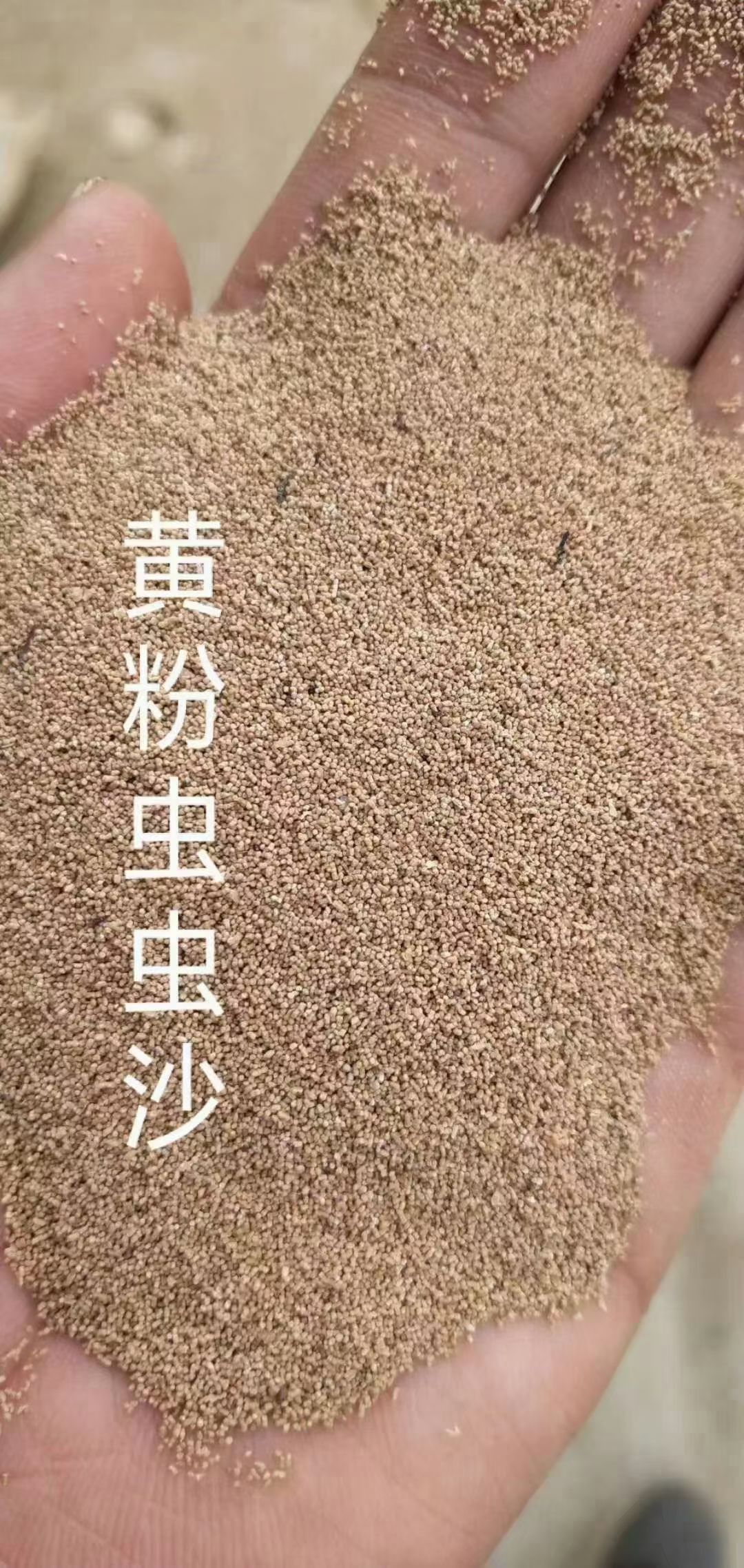 玉米皮粉 黄粉虫虫沙.蛋白17.可替代部分喷浆玉米皮.价格超低.