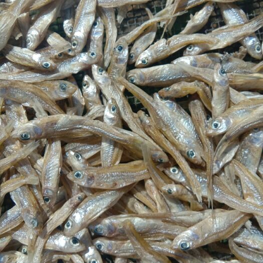 虎林市 含珠鱼干