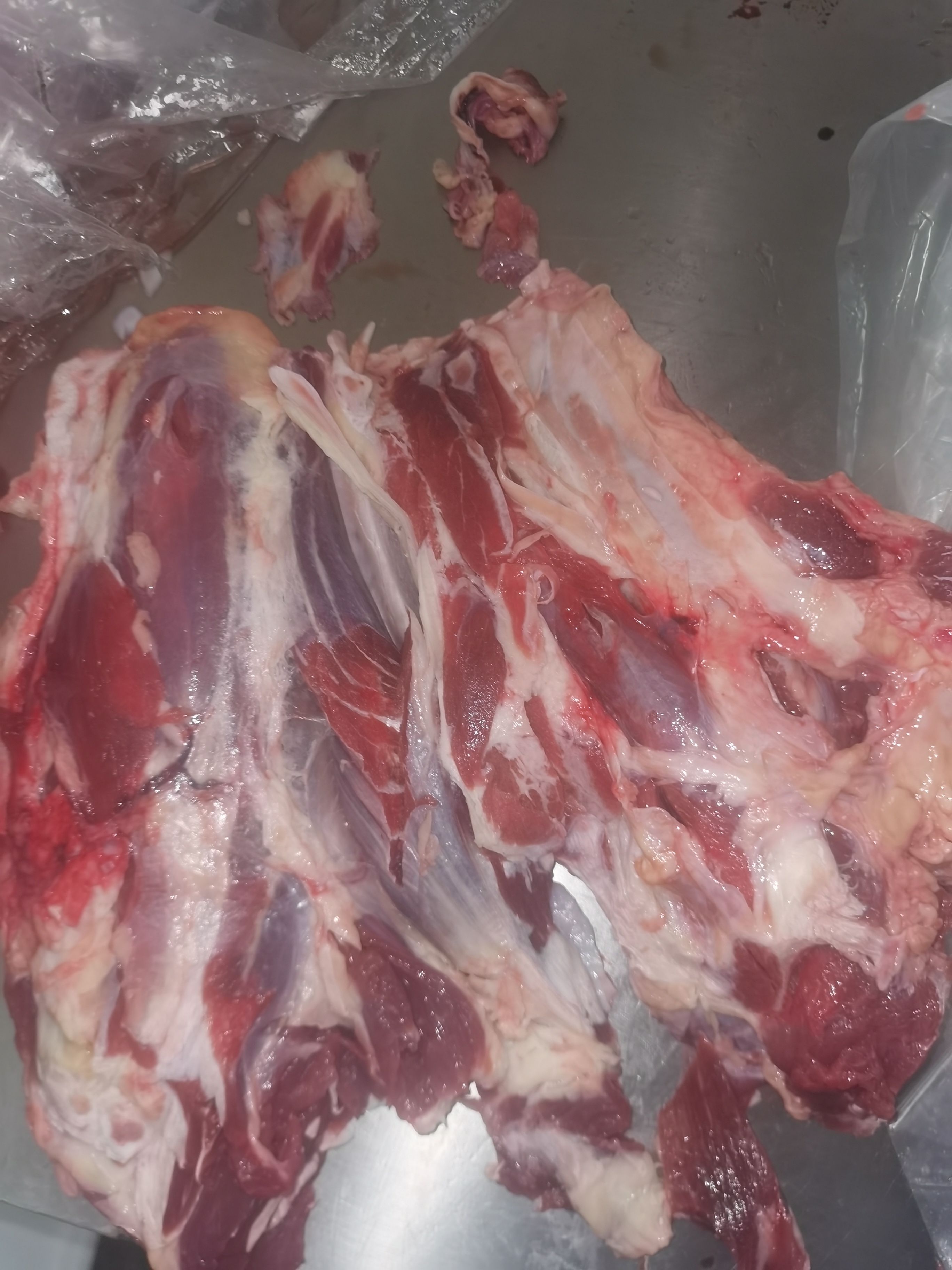 牛腱子肉  牛腱子。精修粗修精品牛腱