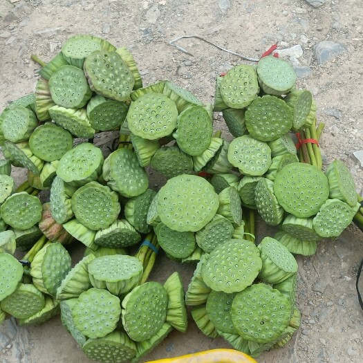  荷叶莲蓬