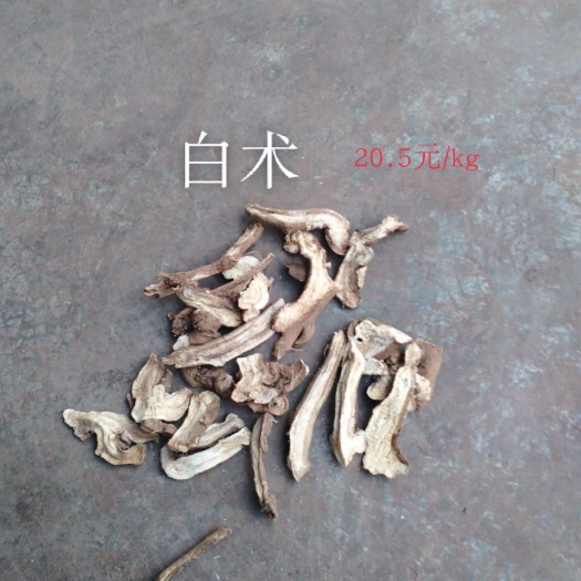 威宁县生白术 白术