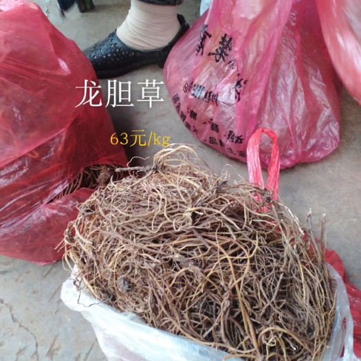 威宁县山龙胆 龙胆草