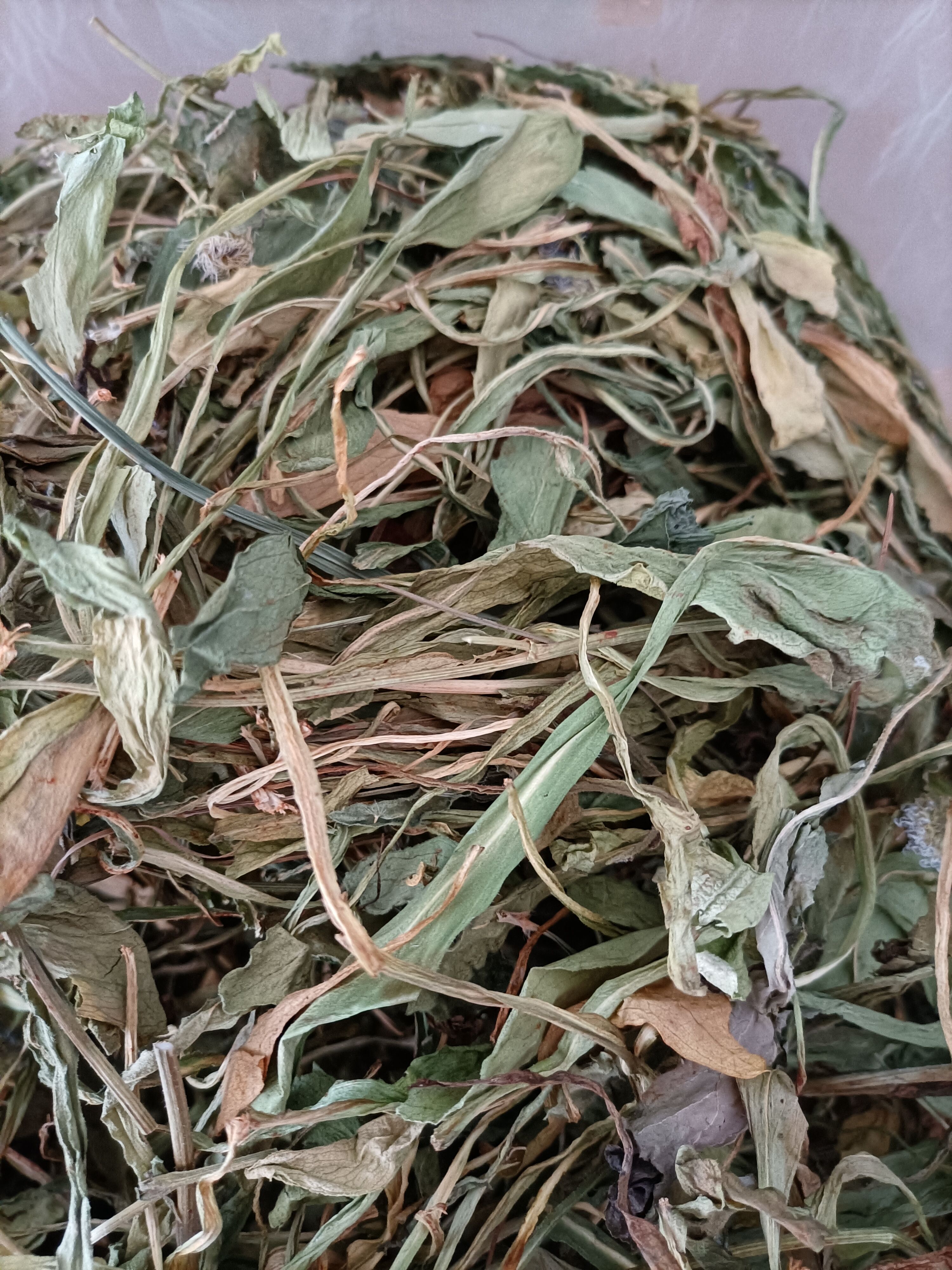 灯盏细辛 云南家种无硫灯盏花新货叶子多