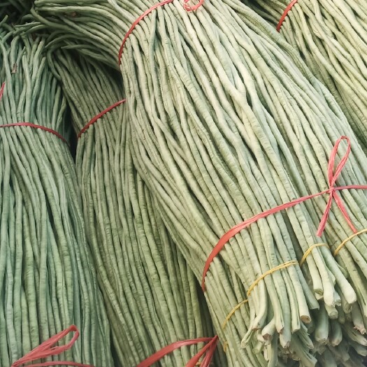 新乐市绿翡翠长豆角  精品长豆角