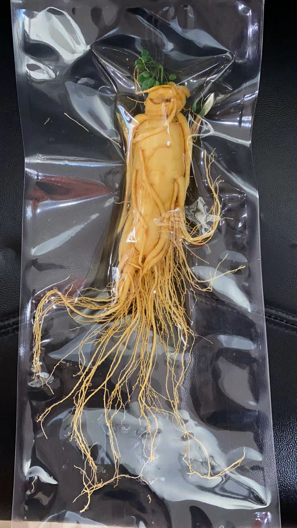 园参  人参 长白山保鲜参 真空包装泡酒煲汤好原料 精品鲜参