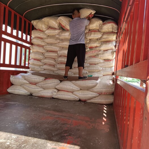 开远市新鲜豆腐渣大量供应