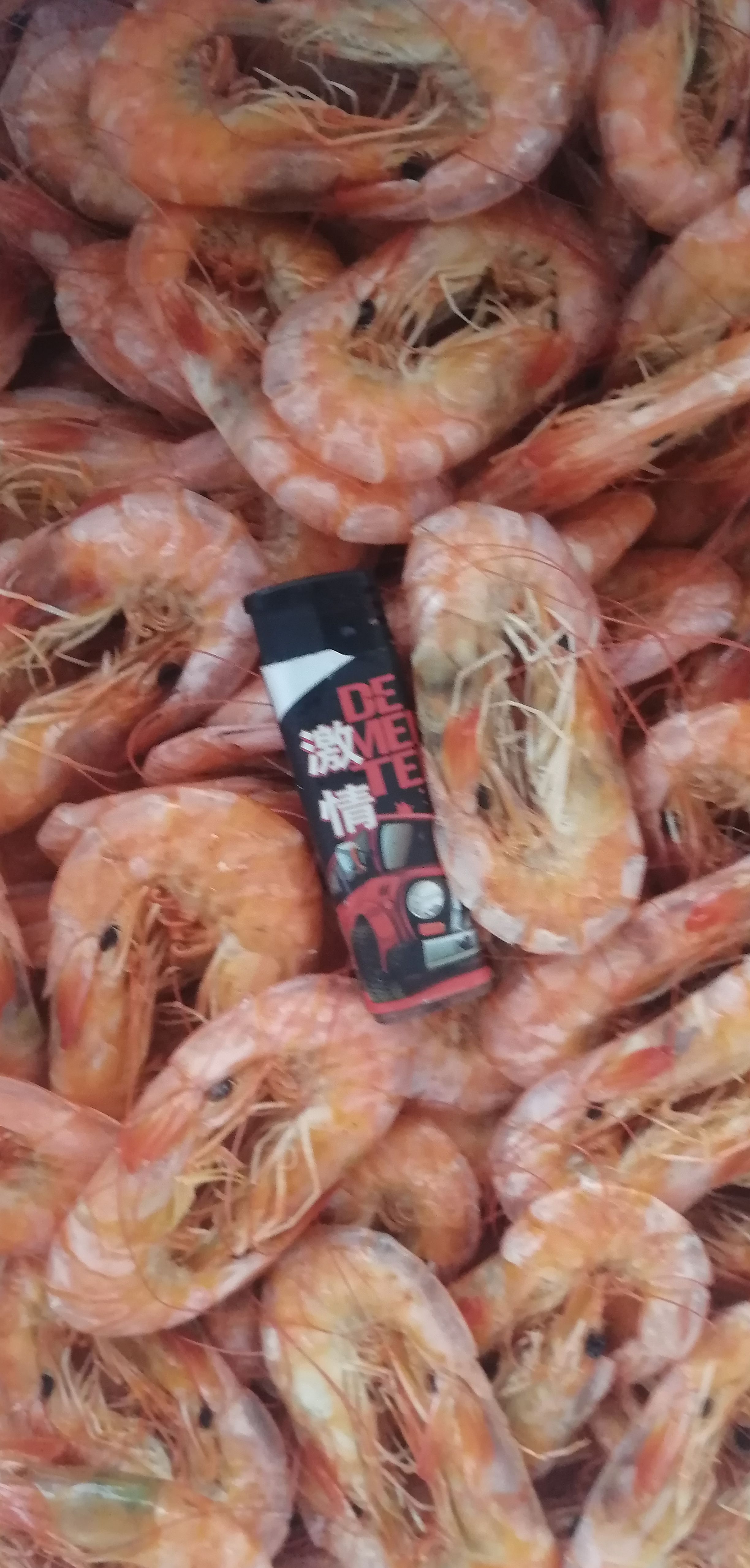 中国对虾，烤虾干，自产自销，批发有量