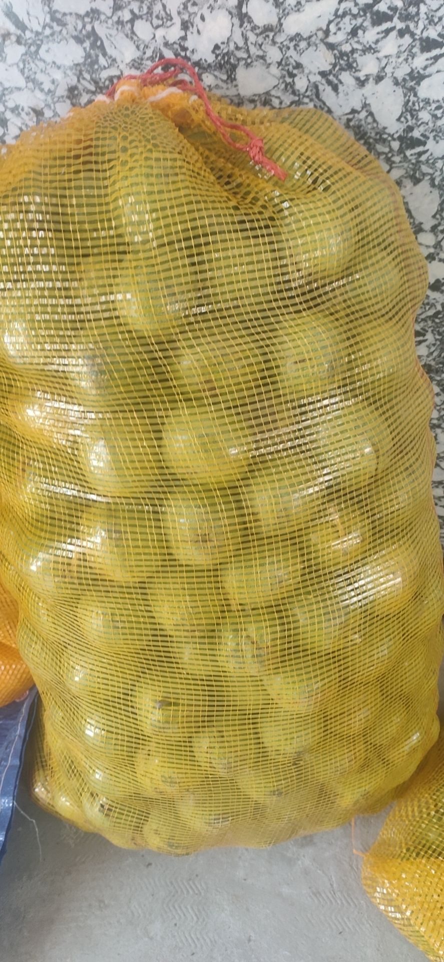 青皮核桃