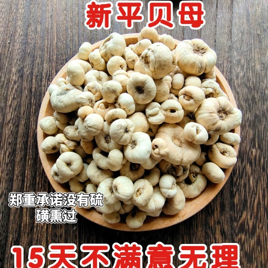 潍坊东北长白山平贝母中药材2021年6月新货无硫贝母