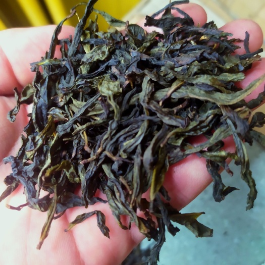 惠来县奇兰茶 高山茶潮汕土山茶惠来高山茶炭焙乌龙茶金牡丹醇香土山茶
