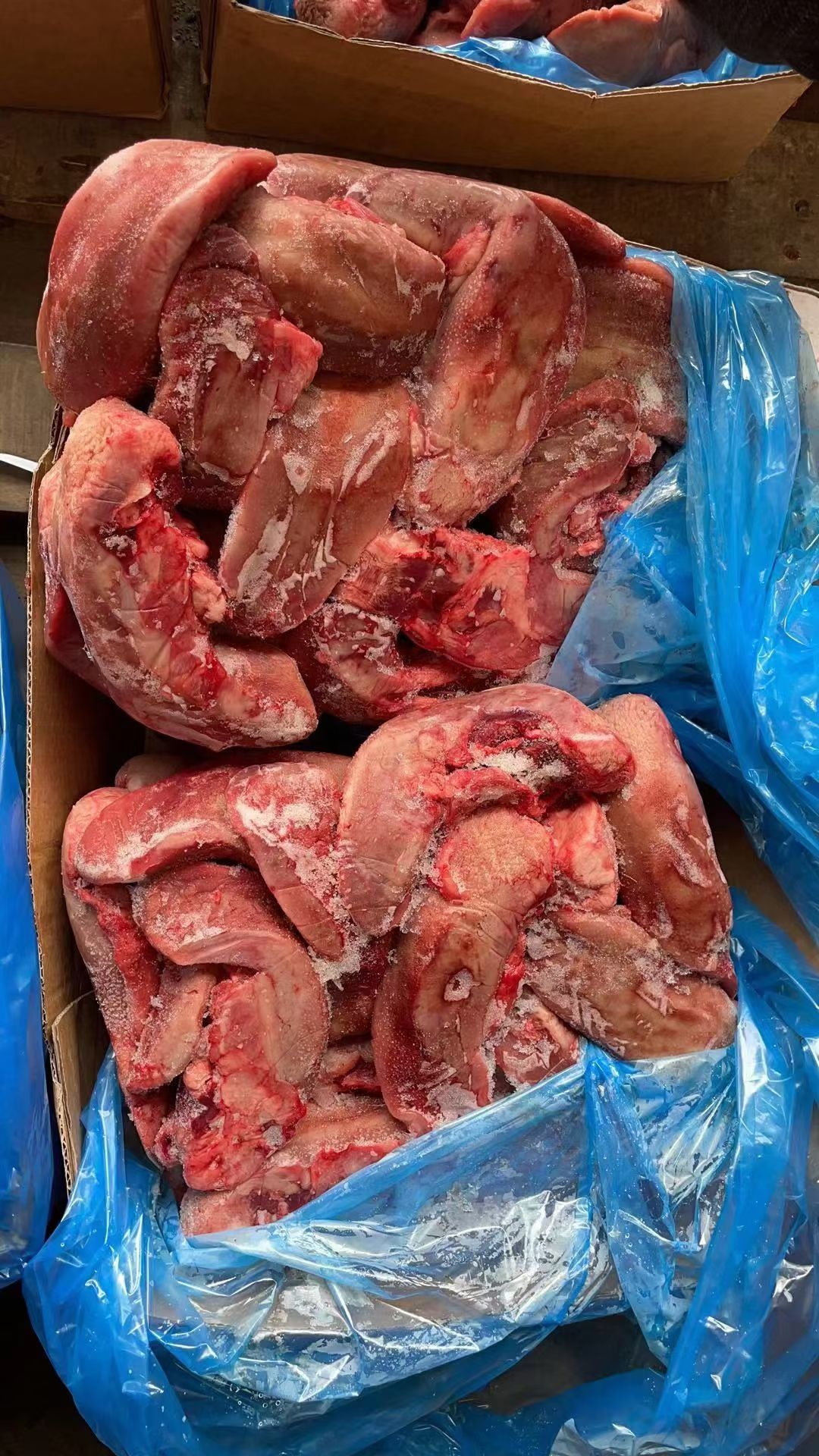 冻猪舌     20斤/件