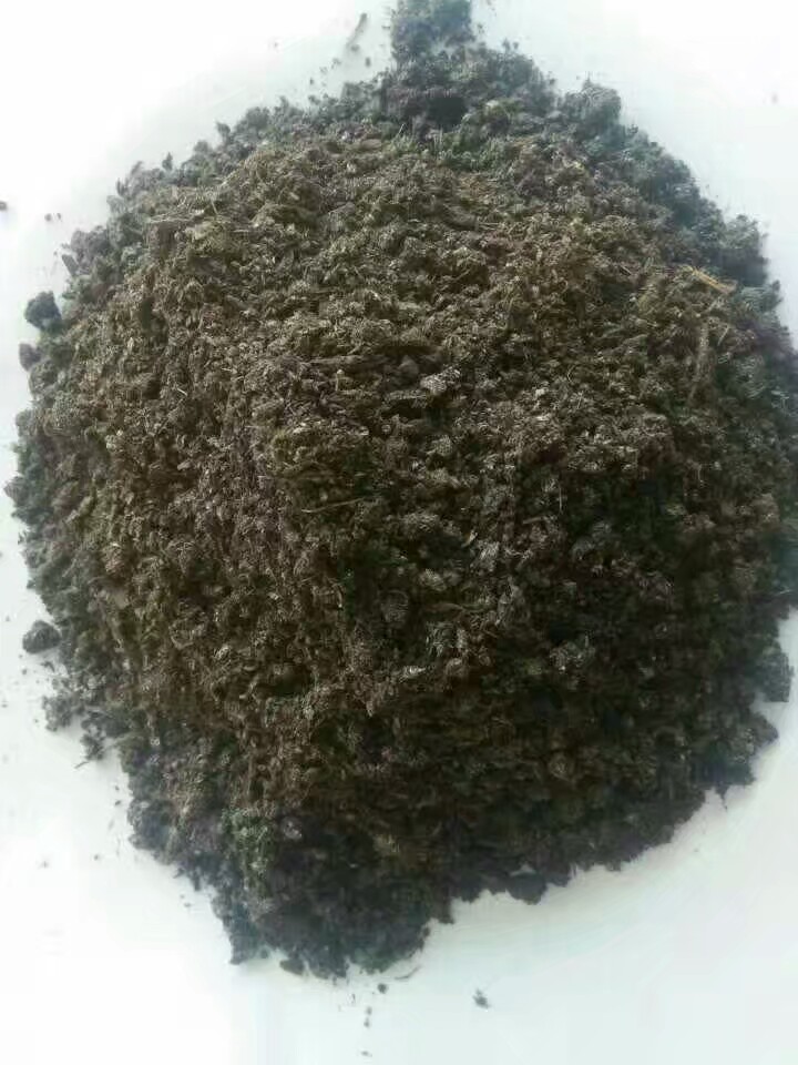 羊粪菌肥