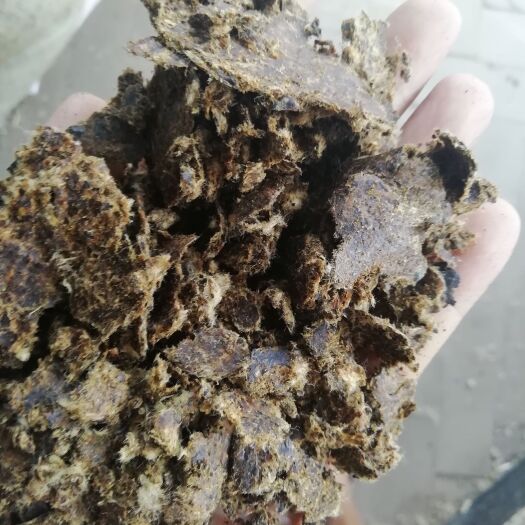 邓州市棉渣  优质棉饼