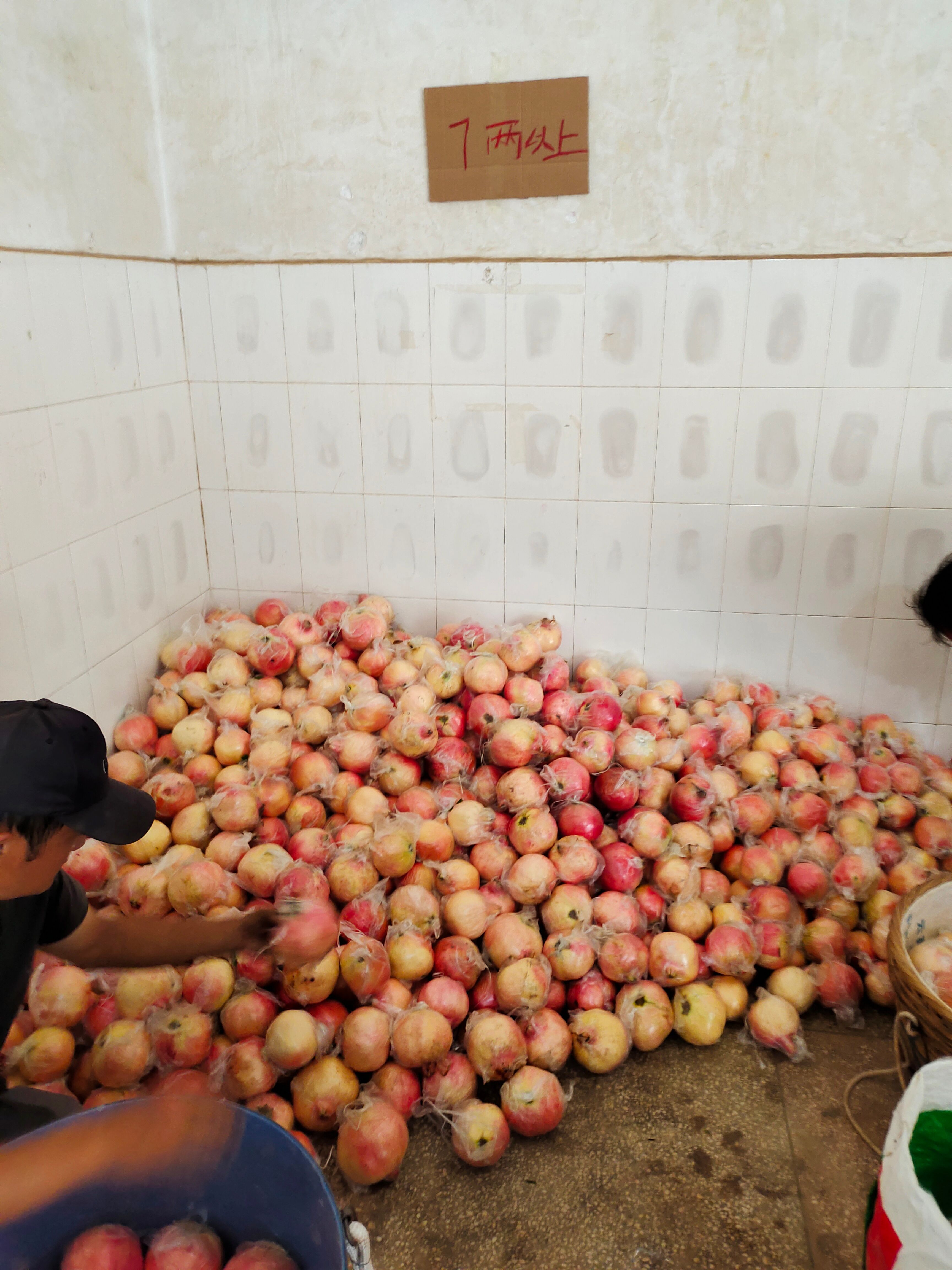 石榴 云南省红河哈尼族彝族自治州蒙自市 