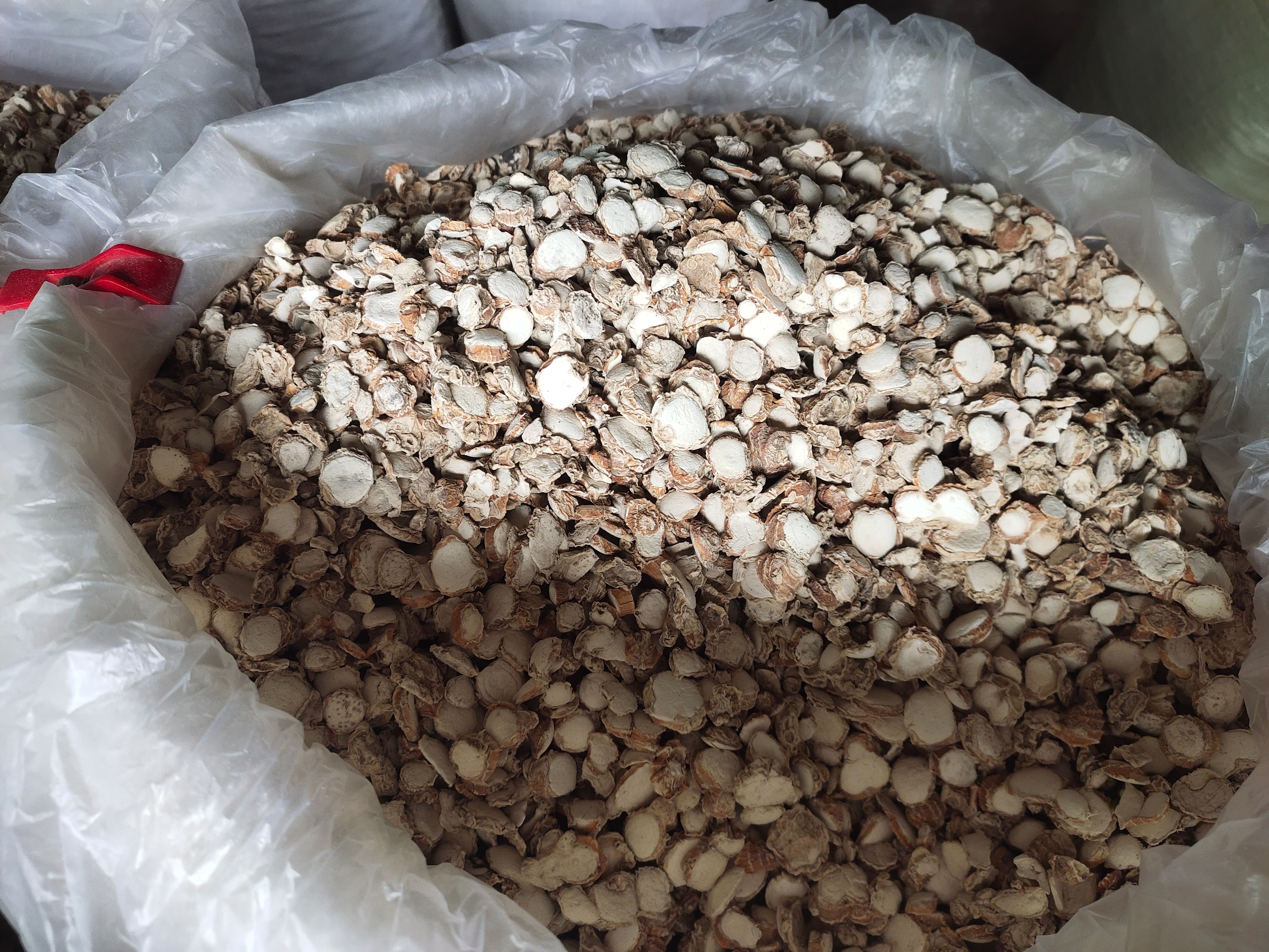 广西金田特产沙姜山奈小圆片源产地直销