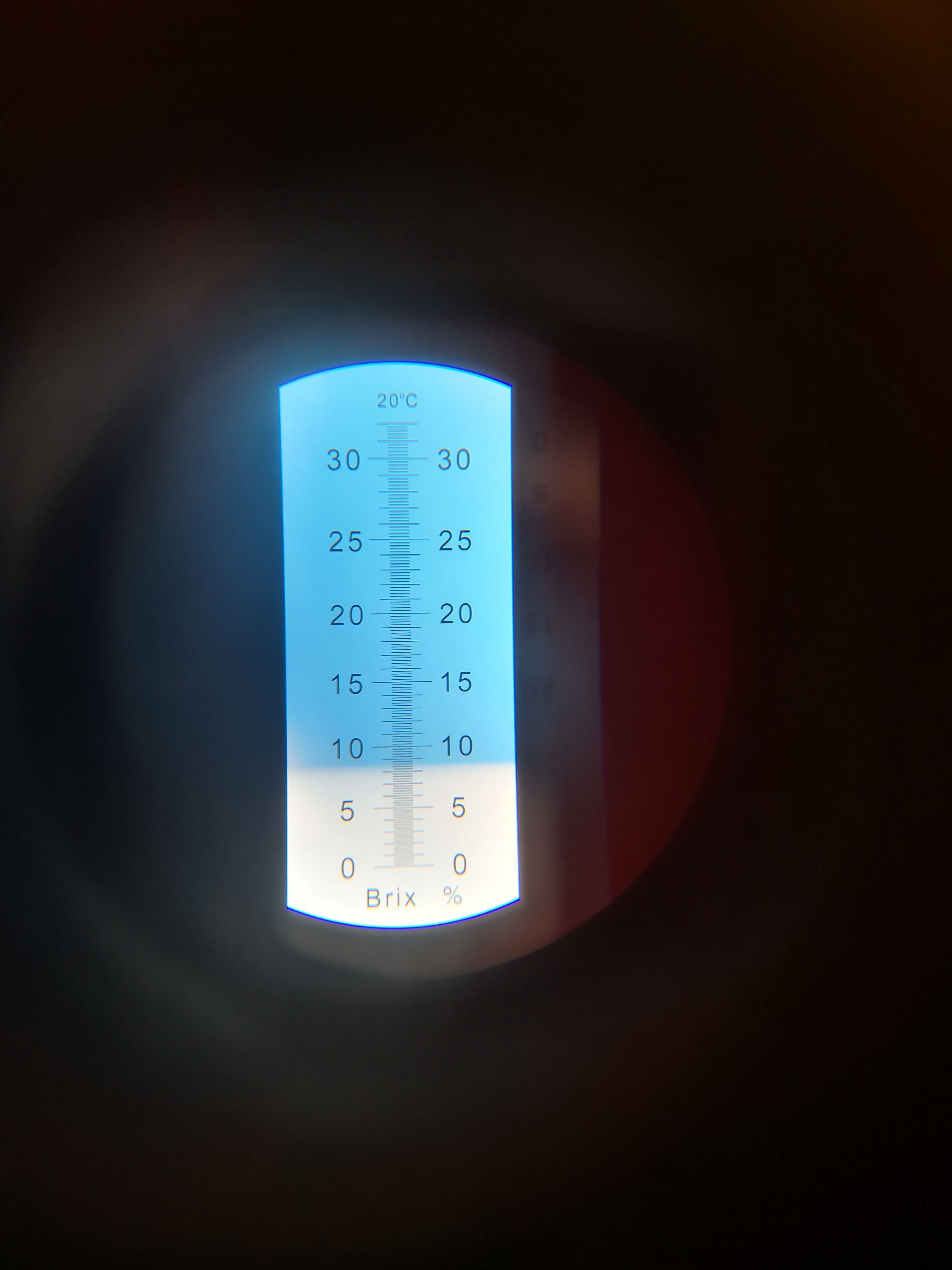 特早蜜桔，口感好，味甜皮薄，汁水多，果皮细腻光滑，无核