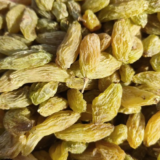 吐鲁番绿葡萄干  吐鲁番市葡萄干，品种齐全，价格美丽。