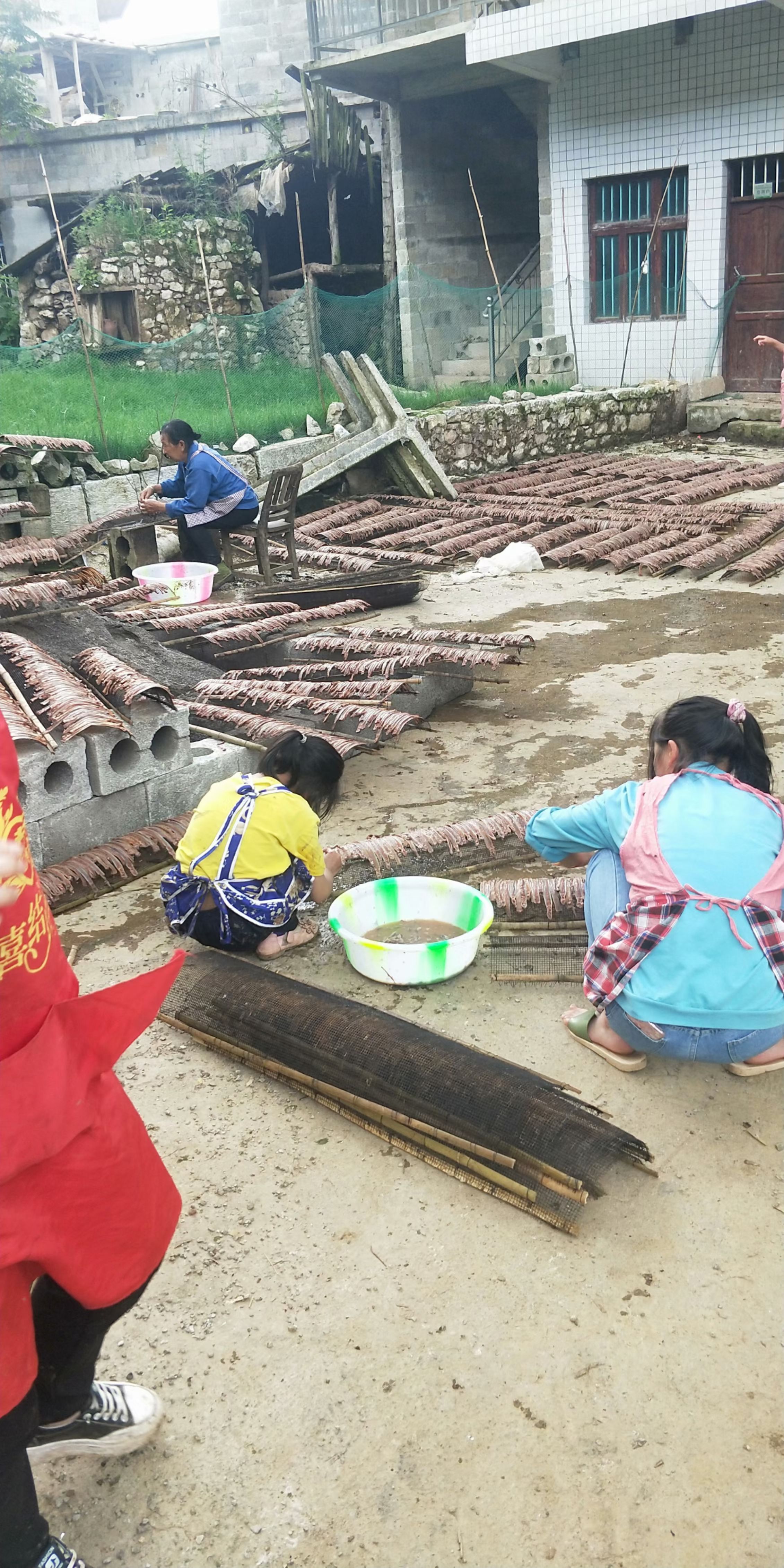 咱们常年回收全国各地蚯蚓干货包教技术包回收，农村人都可以干