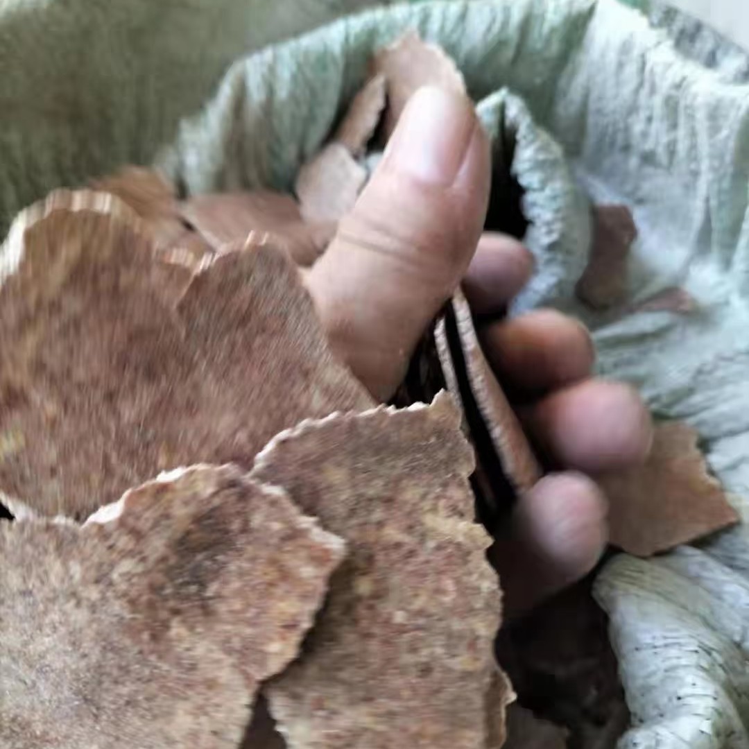 饼肥  菜籽饼有机肥