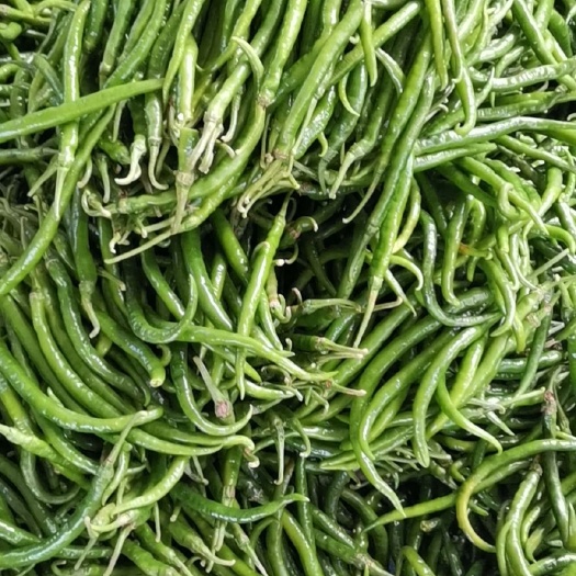 东明县 线椒米椒