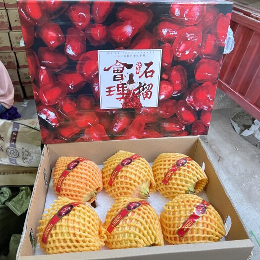 会理市 四川会理突尼斯软籽石榴