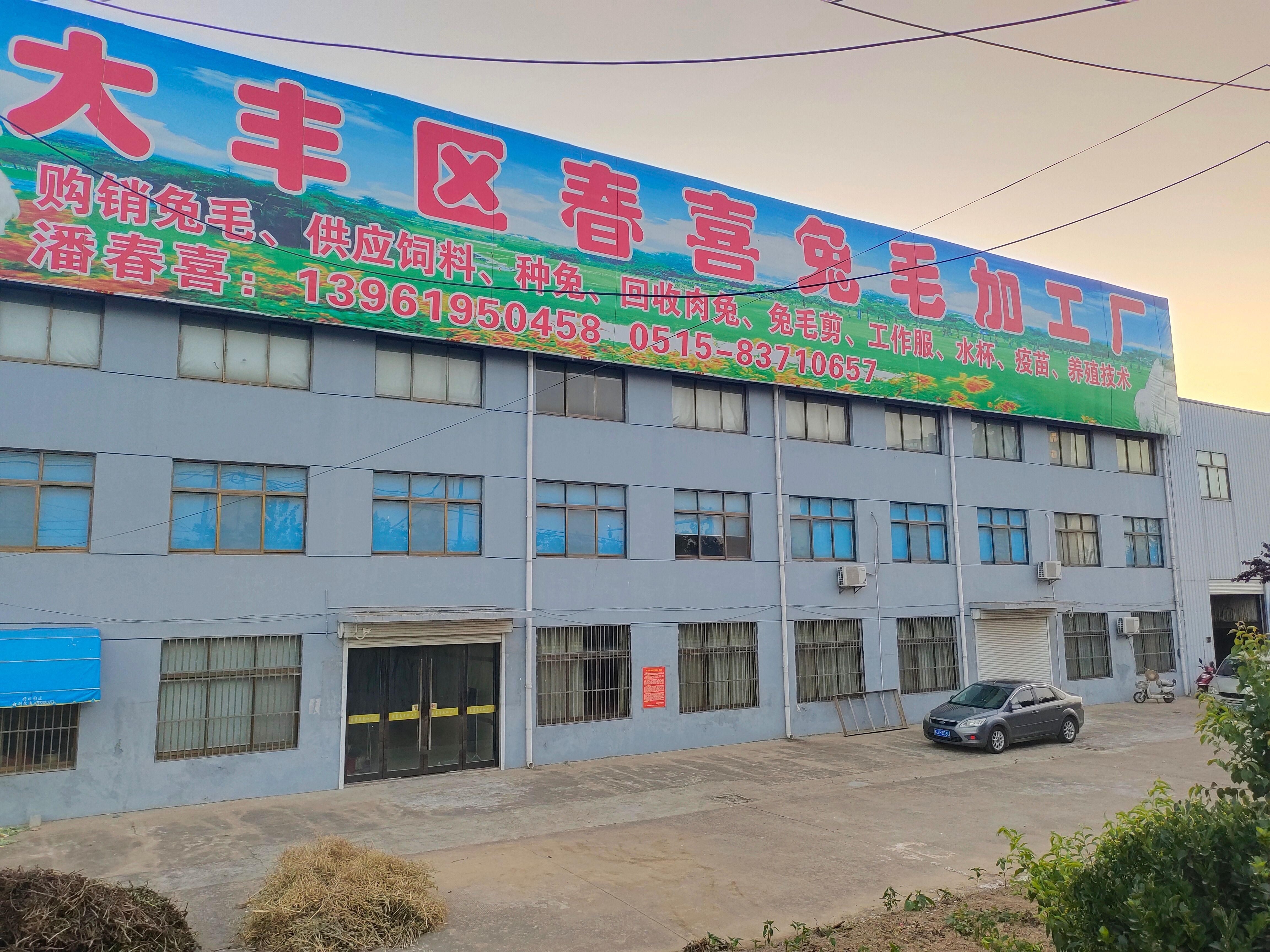 杂交兔  供应杂交奔跑散养菜兔肉兔黄毛褐色毛种兔