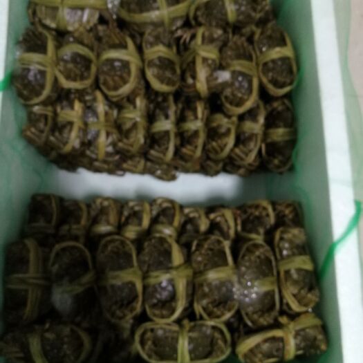 睢宁县大闸蟹礼品盒装：自家养殖，质量保证，有死照赔，一件代发