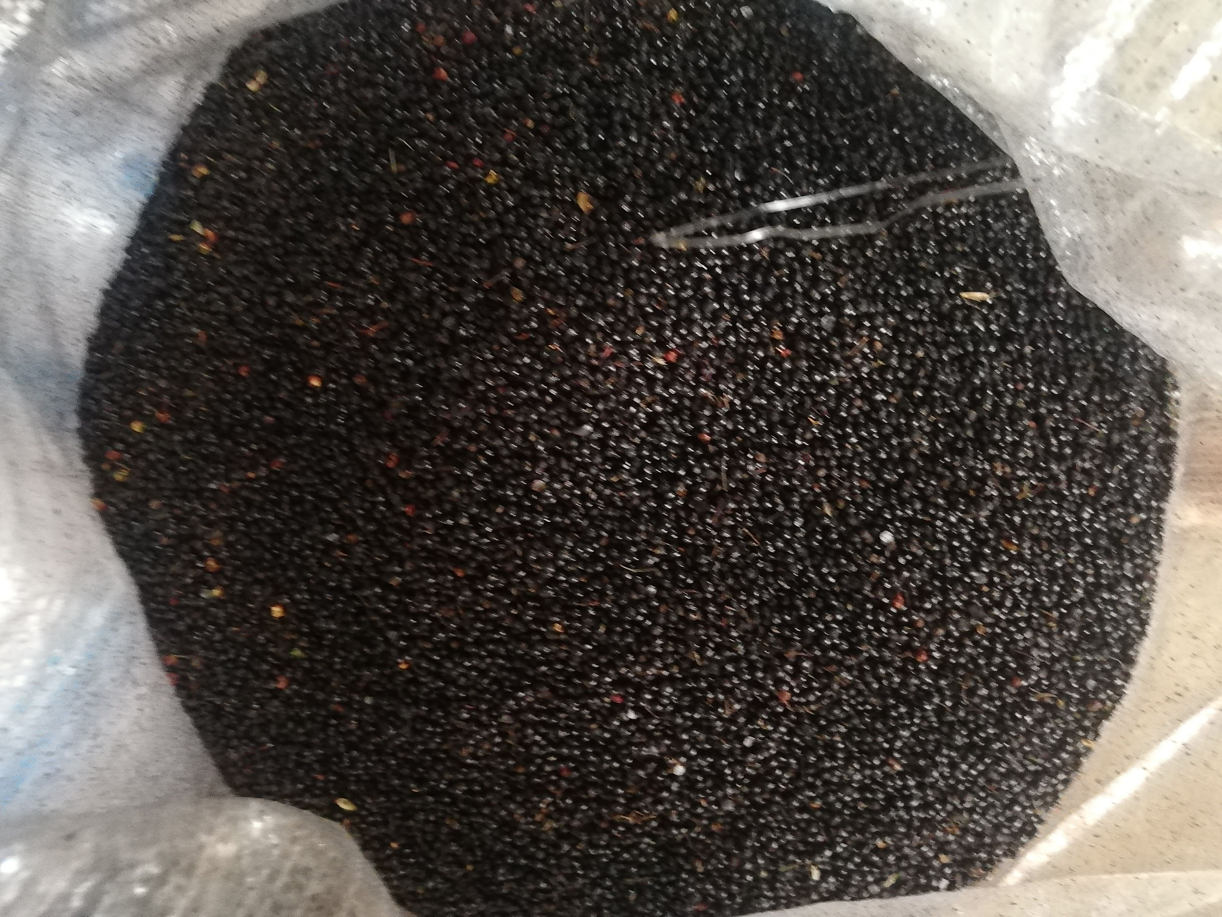  优质花椒籽