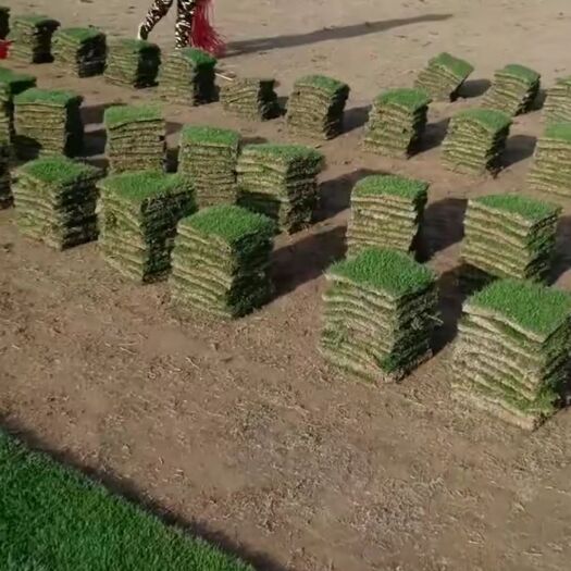 海口现有大量草草捆、草卷出售