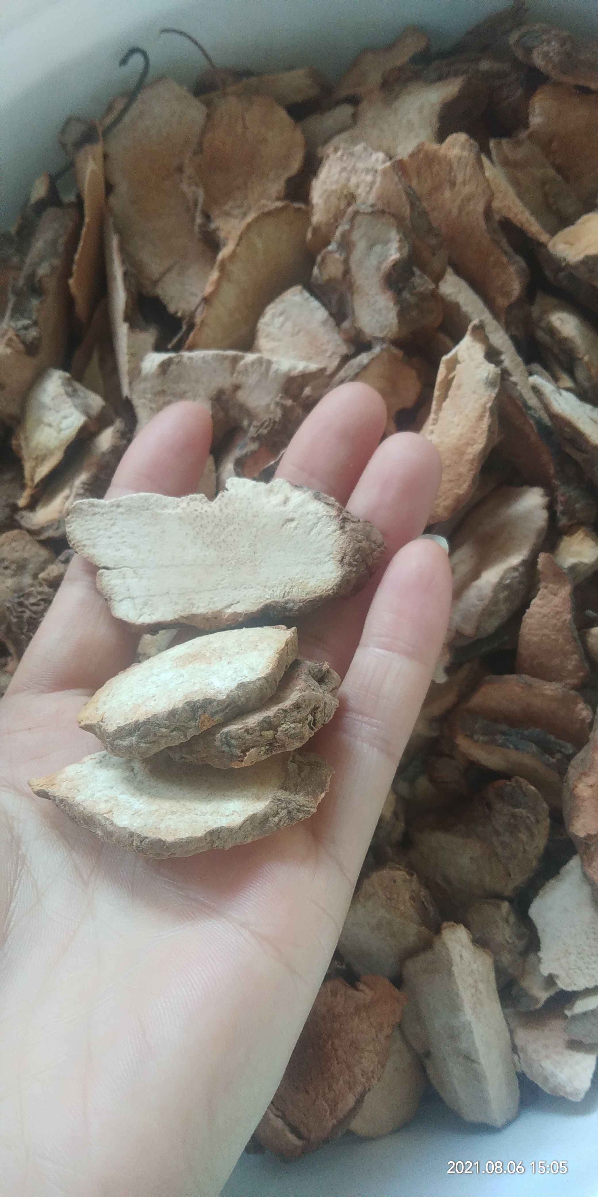 土茯苓 土伏苓