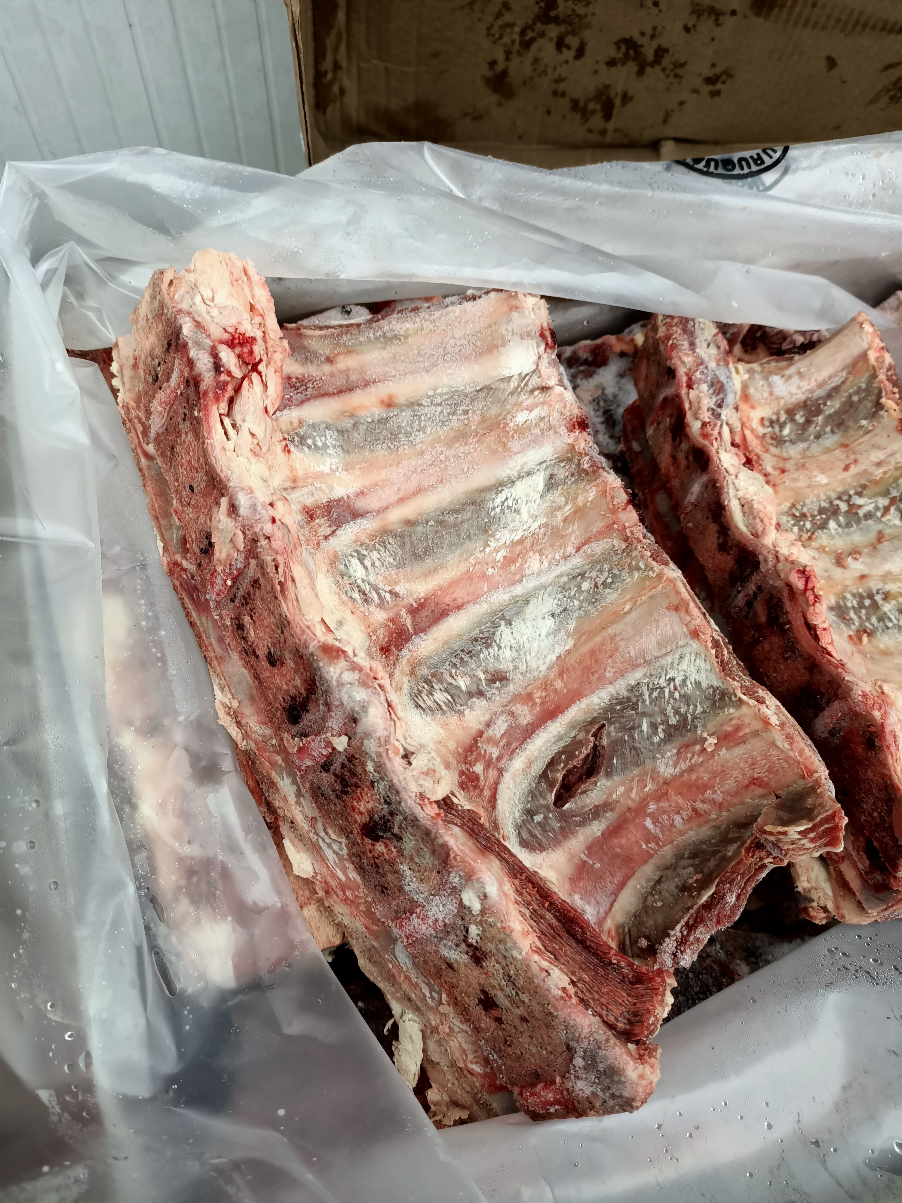 牛骨 乌拉圭8厂牛肋眼骨肩胛骨混装版