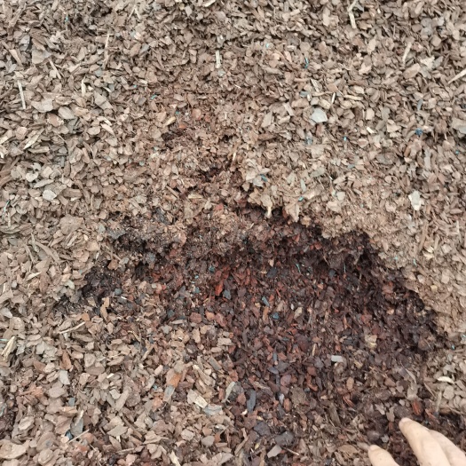 营养土  江西吉安发酵松鳞基质松树皮兰花植料容器苗苗木花卉栽