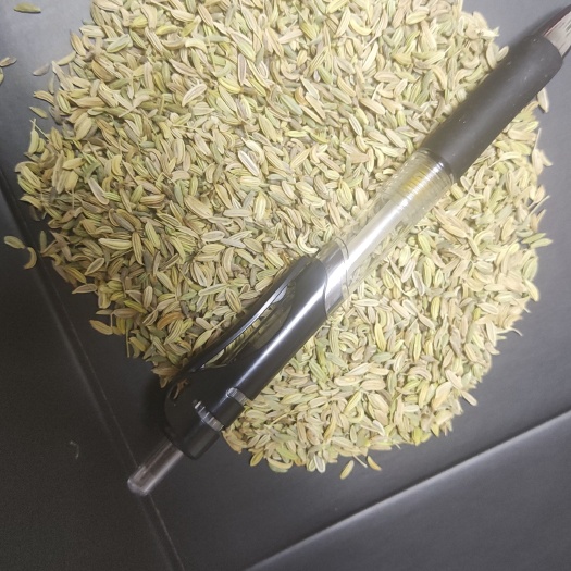 胶州市 小茴香大货