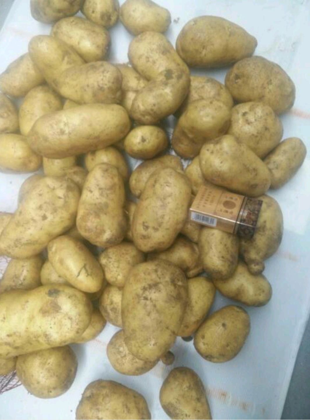 2025冷库土豆上市，4两起步，颜色亮，薯形光滑，个头大，