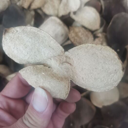 广州新会陈皮，二红皮，泡茶，煲汤