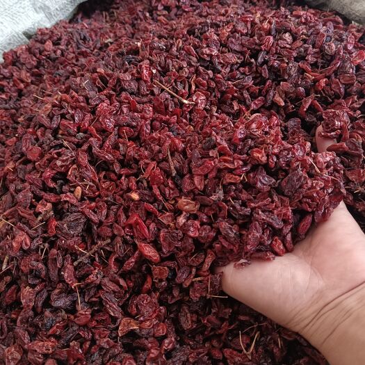 玉林优质山萸肉山芋肉山茱萸量大从优
