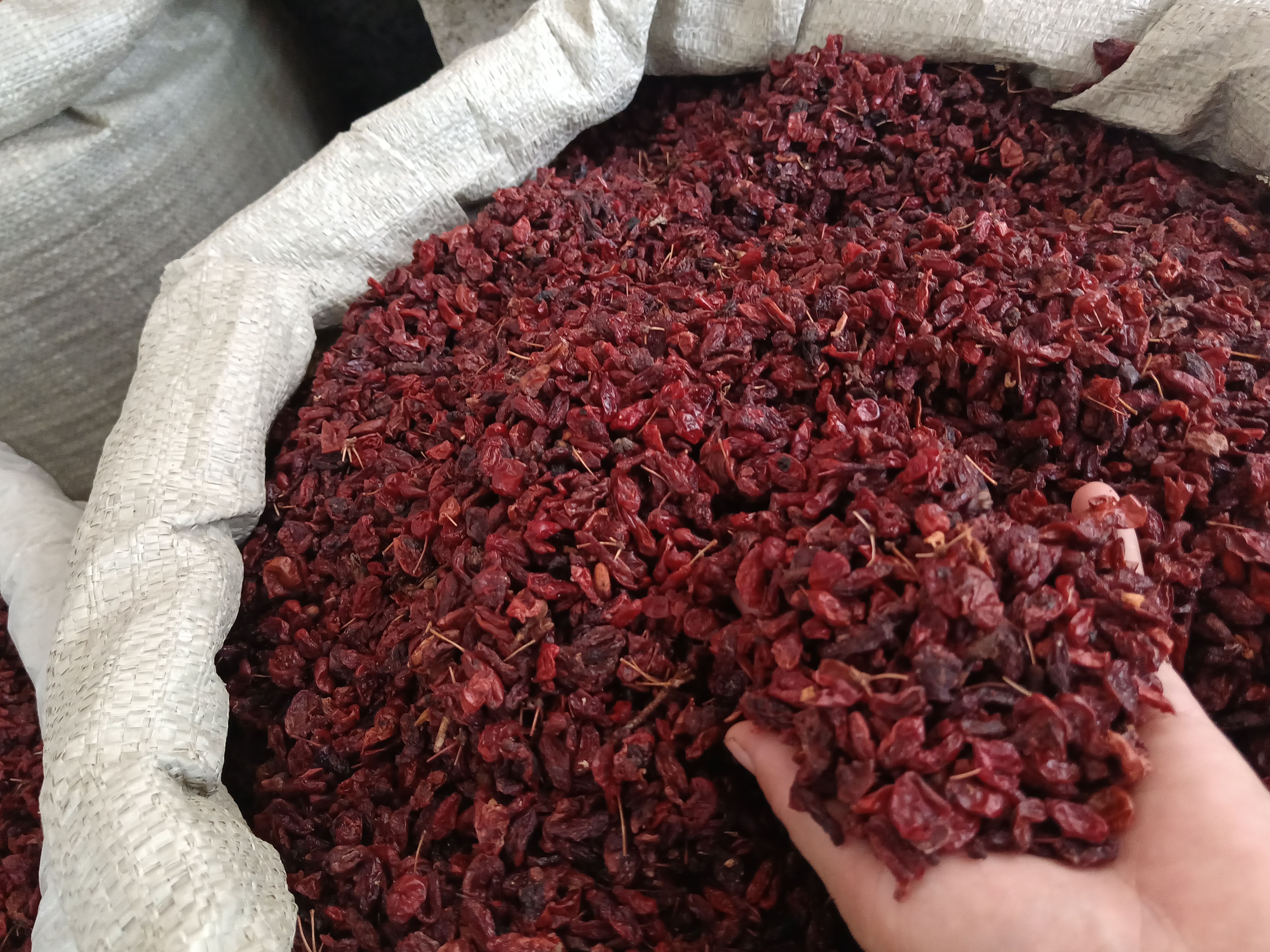 优质山萸肉山芋肉山茱萸量大从优