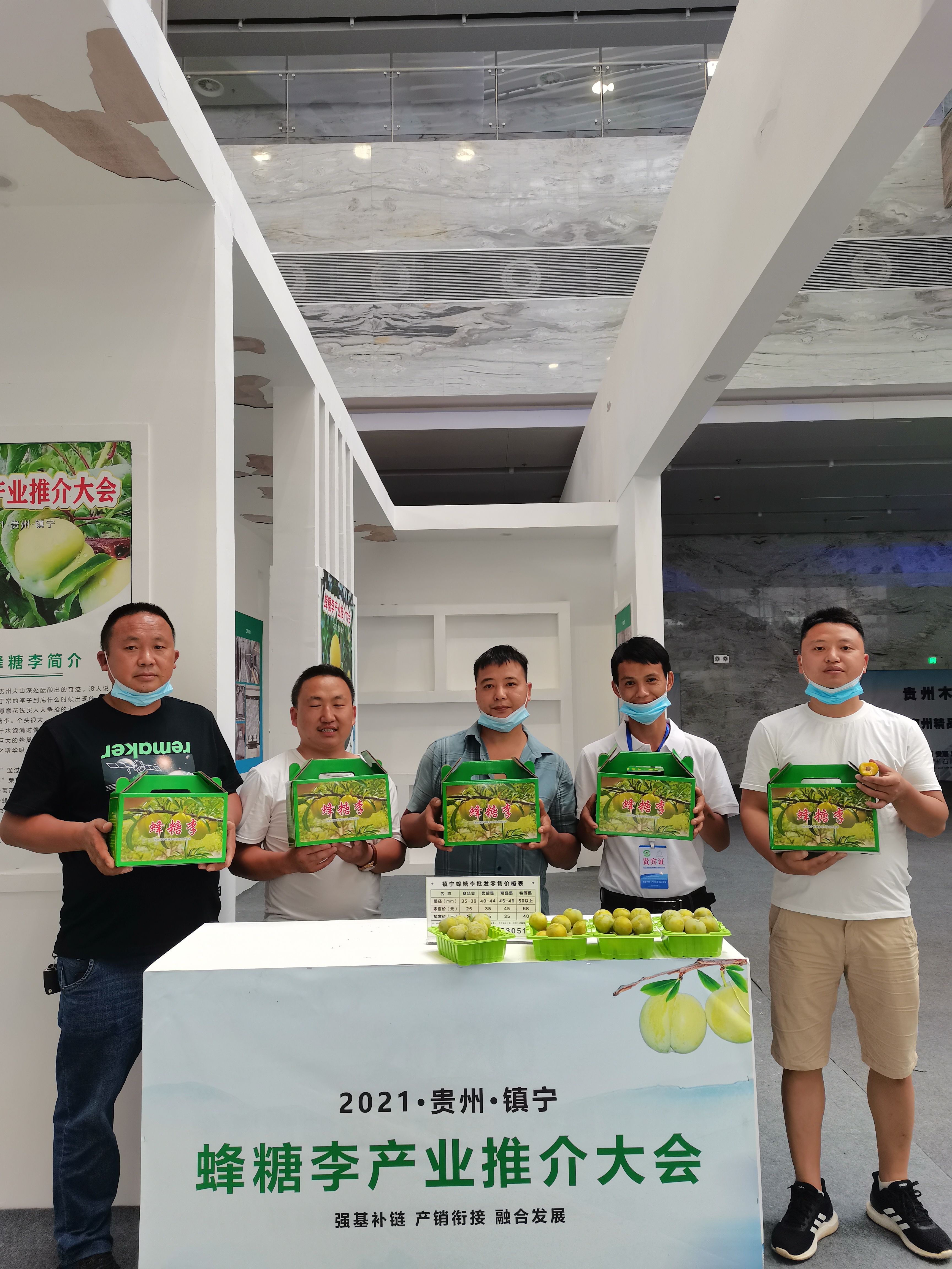 蜂糖李树苗  贵州 六马镇 蜂糖李原产地 一代嫁接苗 免费