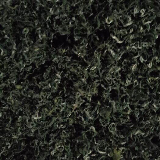 资兴市毛峰茶 秋茶1000公斤