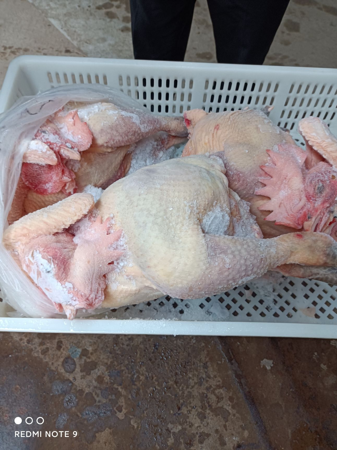 土鸡  大冠公鸡 纯干无水，颜色漂亮，全净膛。手续齐全