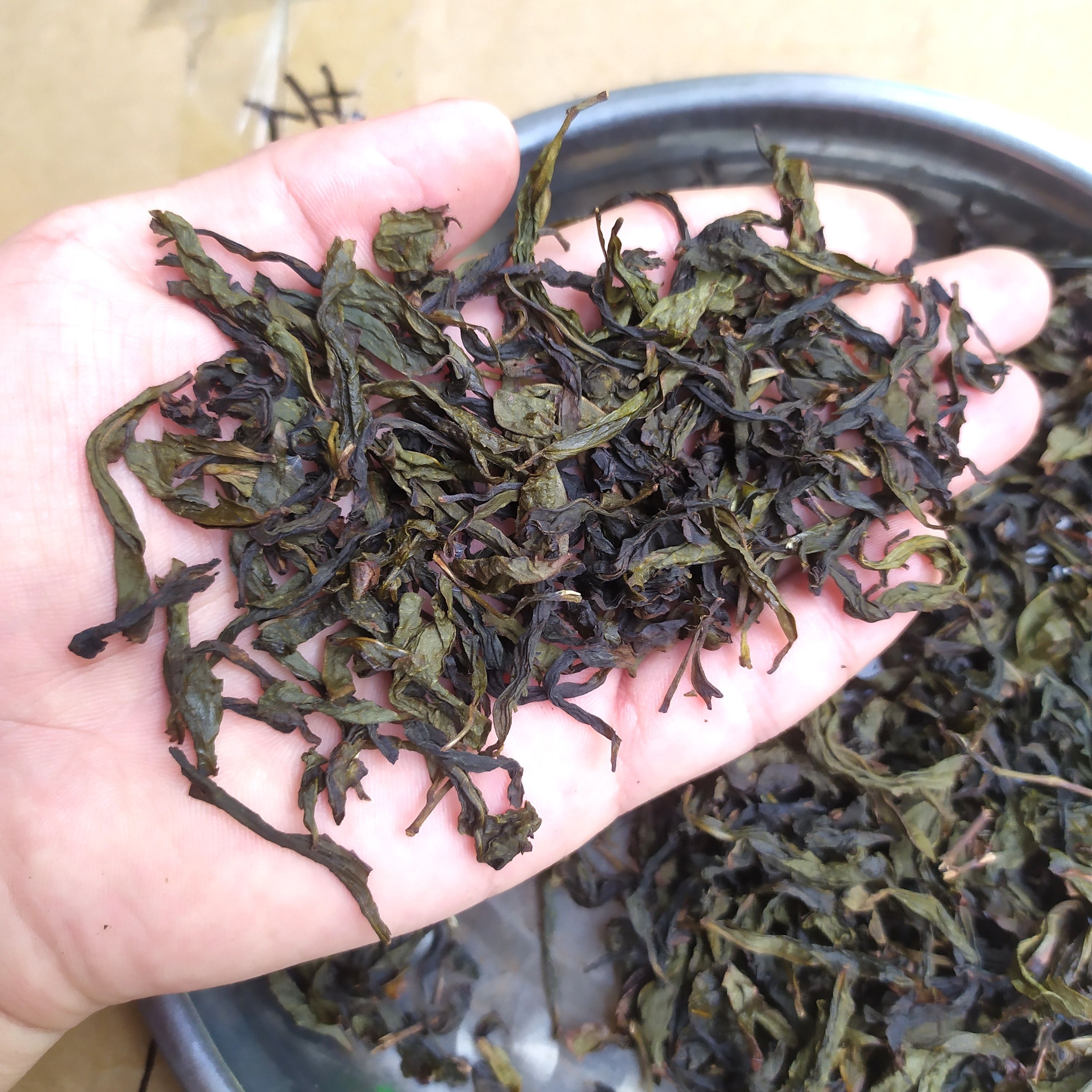 奇兰茶 乌龙茶叶惠来土山茶米香茶高山茶叶潮汕工夫茶潮汕高山茶