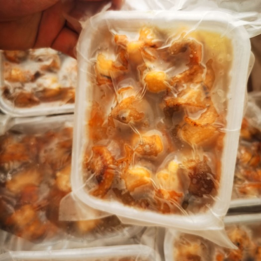 东山县黄金贝  扇贝肉   扇贝