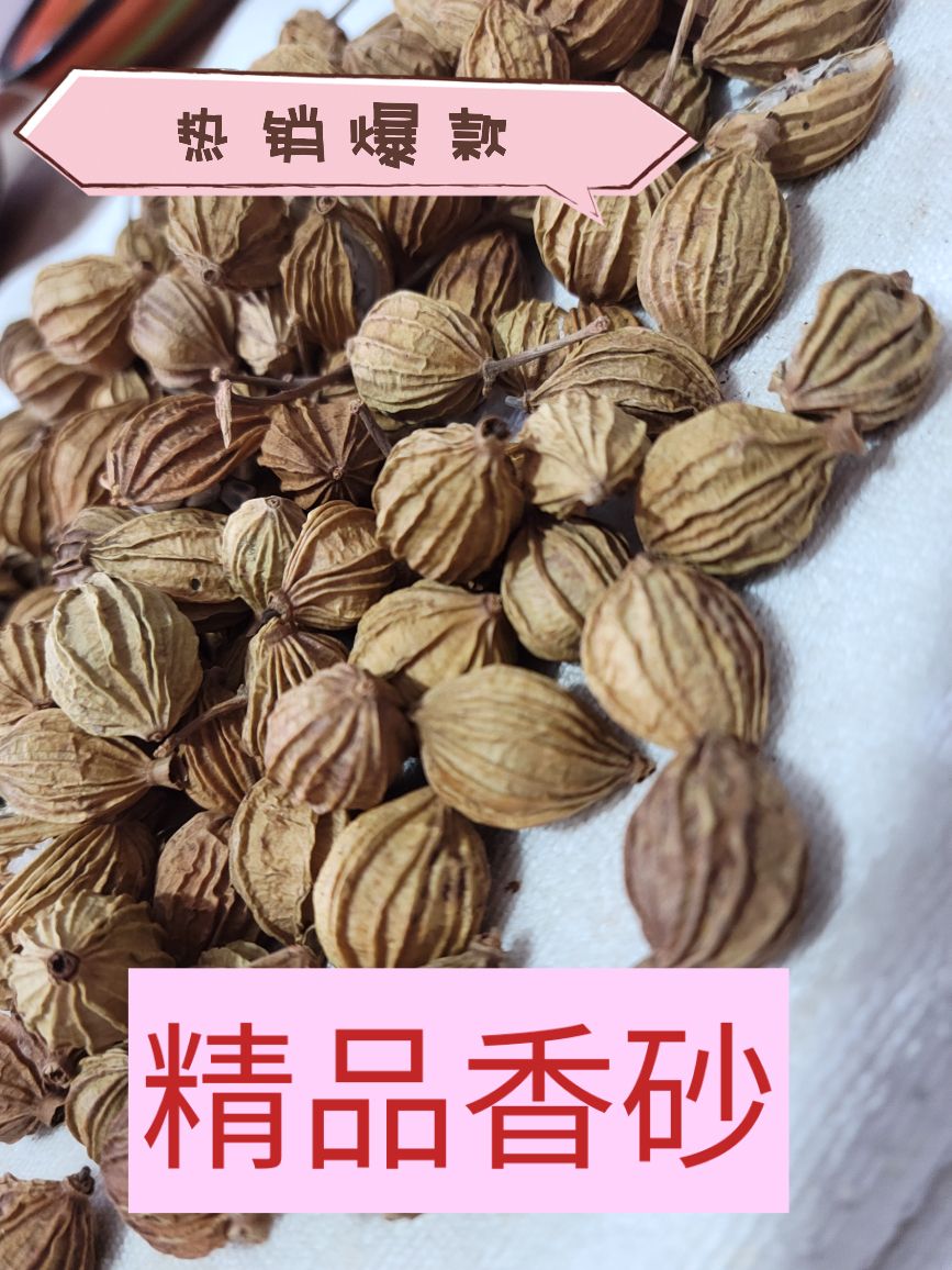 香砂 香砂果 产地直销，干度好 含量高 诚信经营，假一赔十
